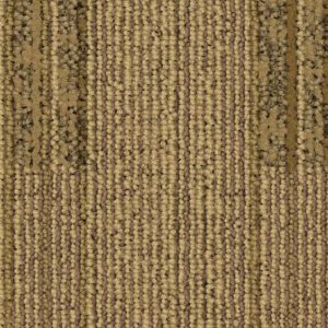 Tranquil Beauty Plank