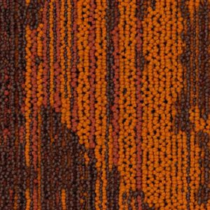 Write Direction Plank