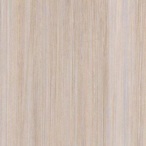 Spacia xpress – Abstract